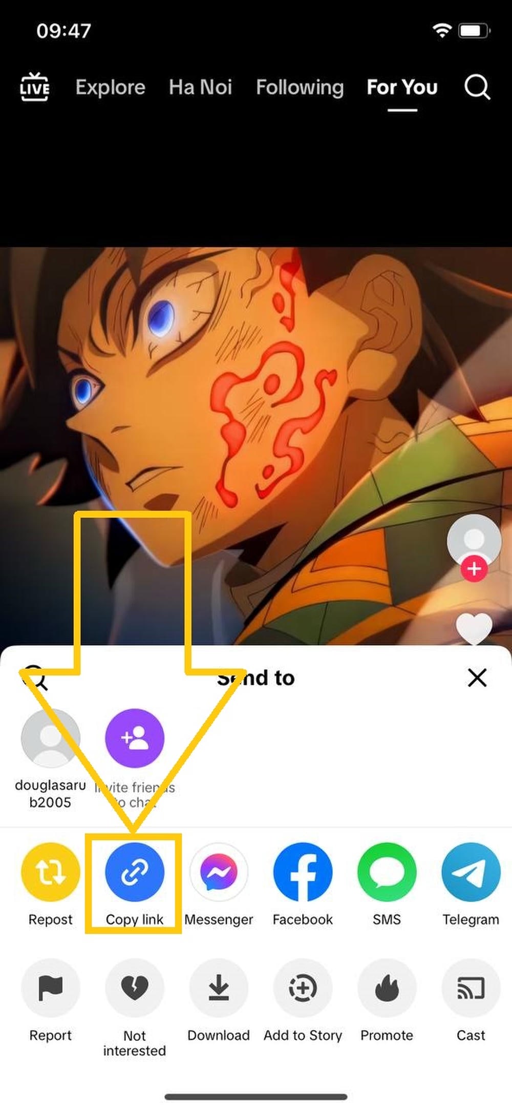 Access TikGo on Safari